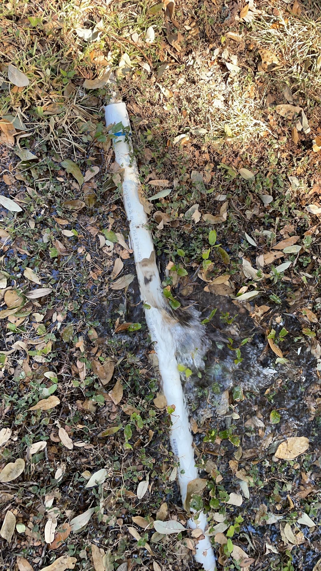 Cracked PVC lateral pipe before repair